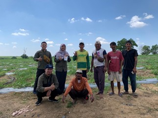 Rekomendasi peningkatan pH tanah pada lahan semangka