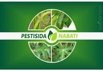 PEMBUATAN PESTISIDA NABATI DARI DAUN SIRSAK, DAUN PEPAYA, DAUN MIMBA DAN TEMBAKAU