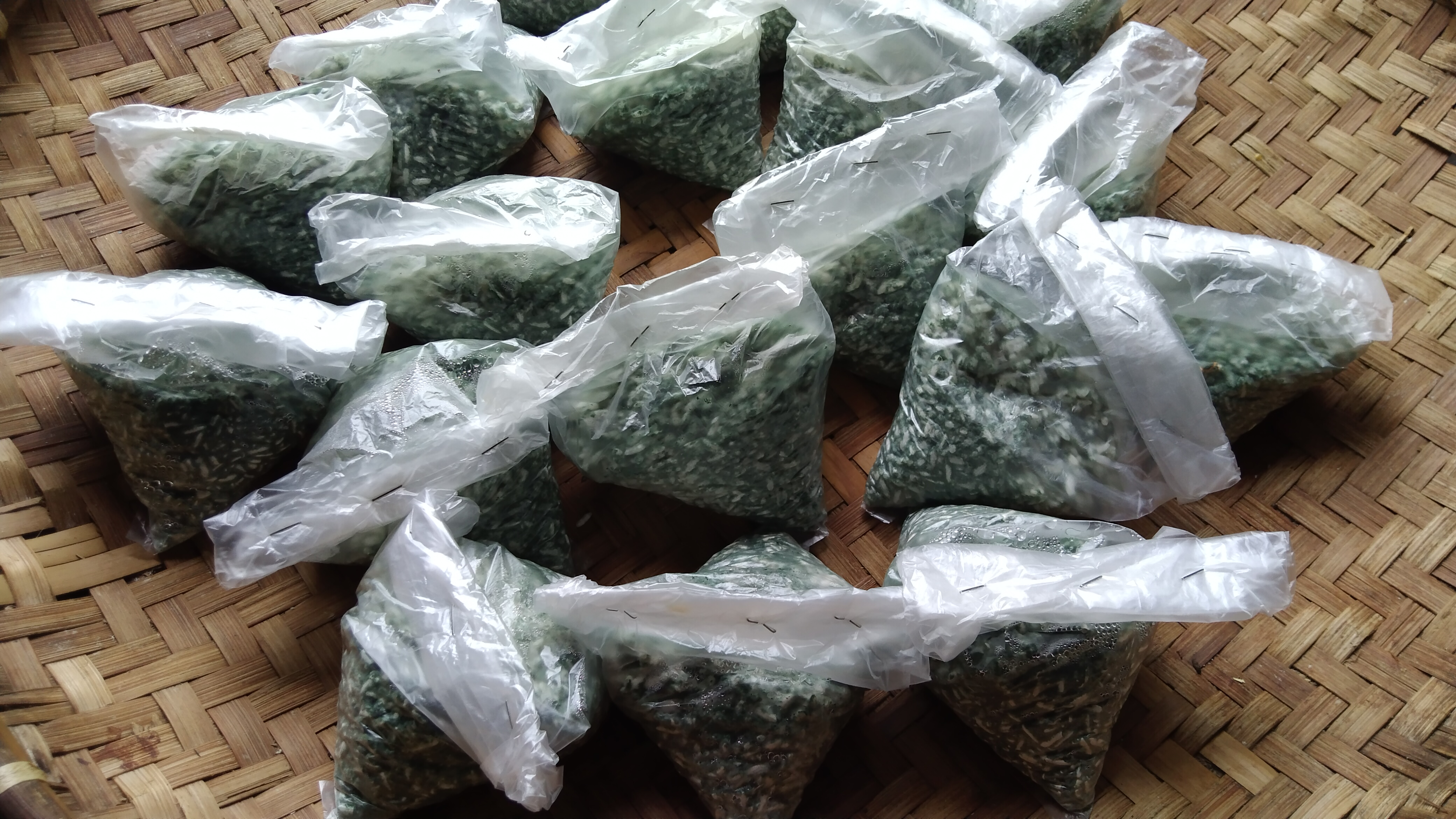 Demonstrasi Pembuatan dan Pemanfaatan Agensia Hayati Trichoderma, sp. menjadi Biofungisida