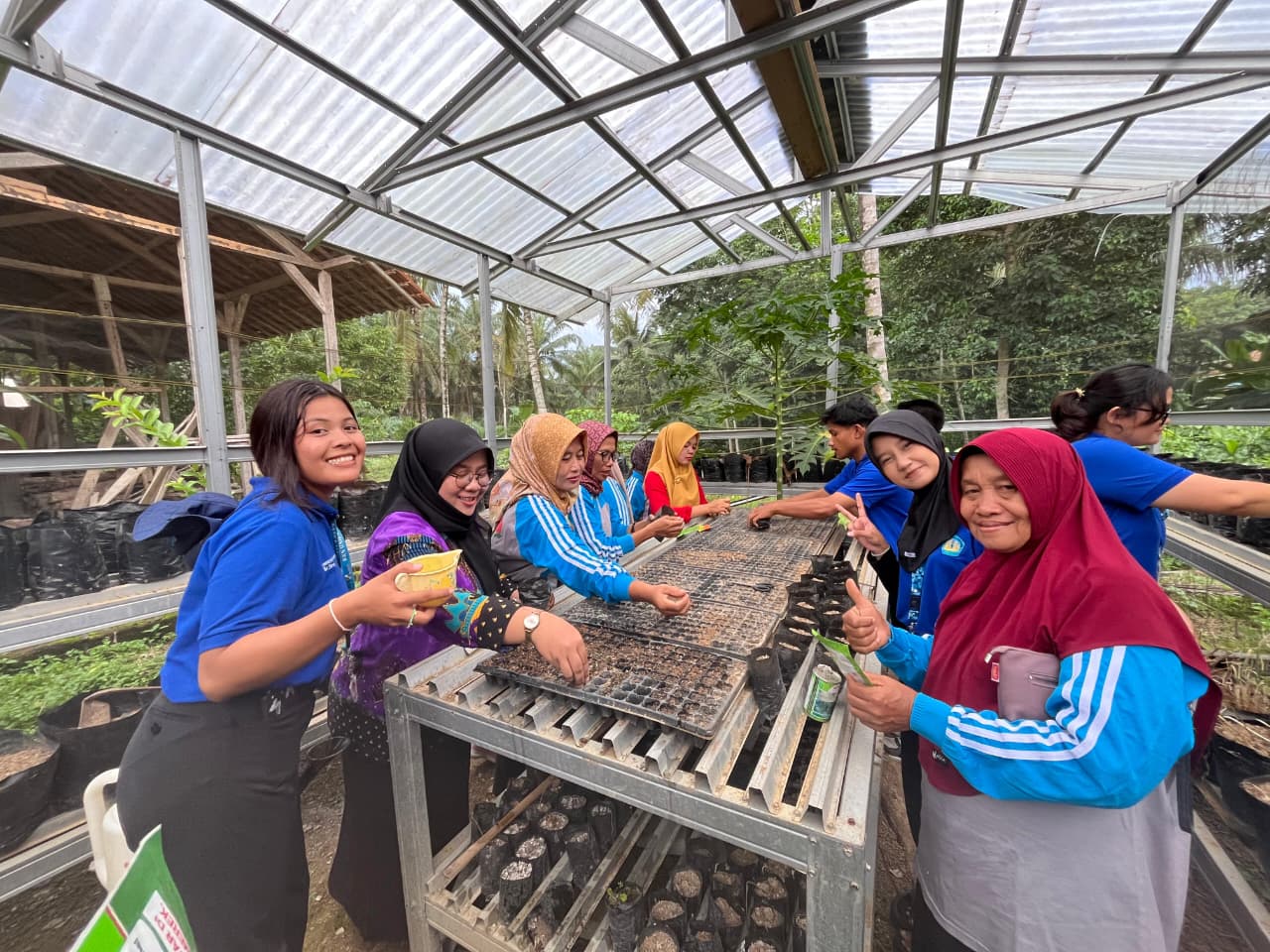Pembibitan dan Penanaman Sayuran di Rumah Benih KWT Dahlia Desa Batu Raja Kecamatan Sungkai Utara 