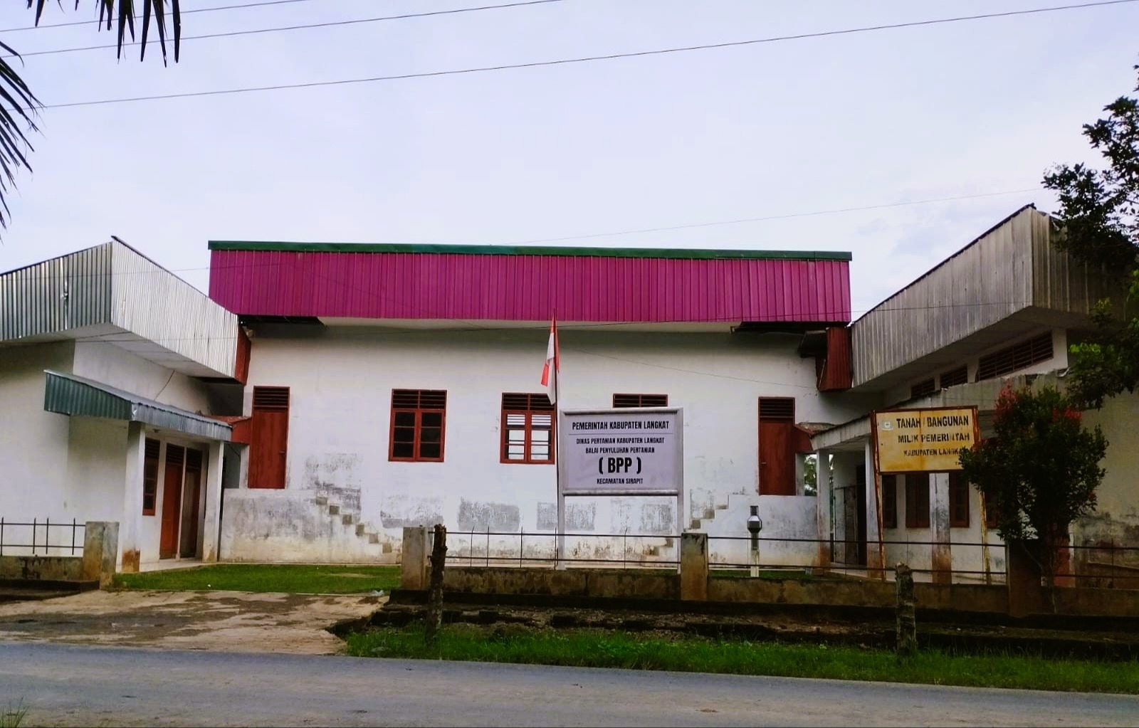 BUDIDAYA TANAMAN PADI SAWAH