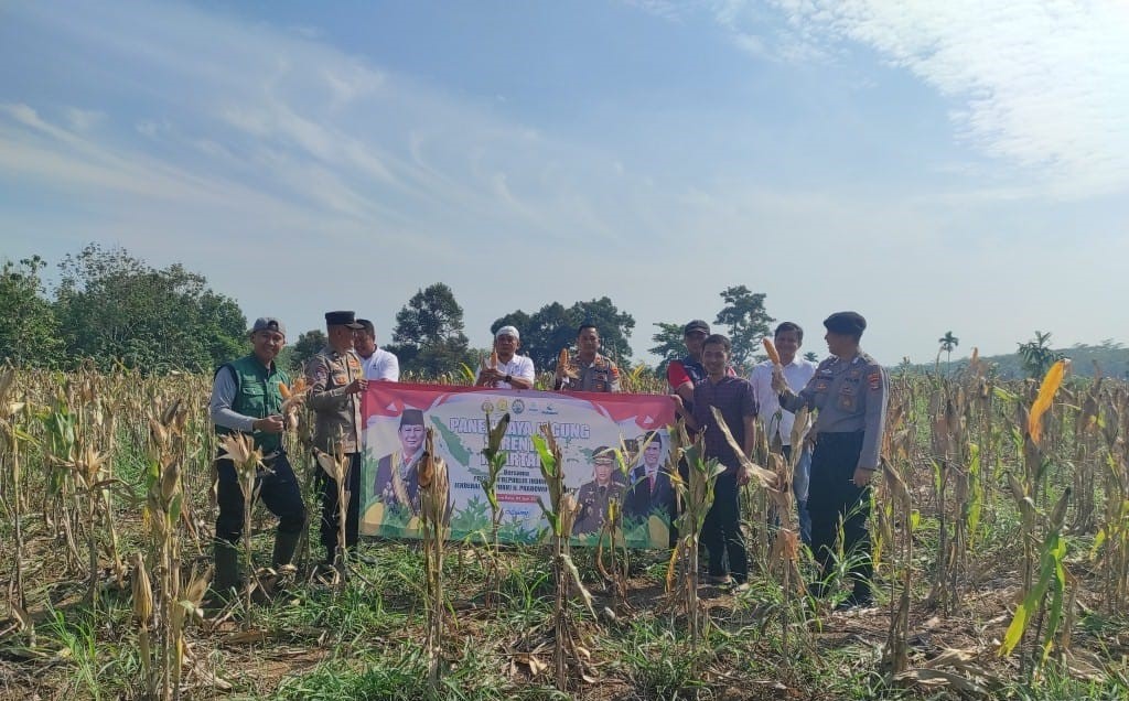Kegiatan Panen Jagung Serentak Kuartal II Bersama POLRI sebagai Wujud Dukungan terhadap Ketahanan Pangan Nasional