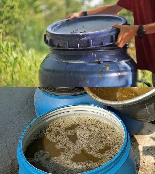 Cara Pembuatan Pupuk Cair