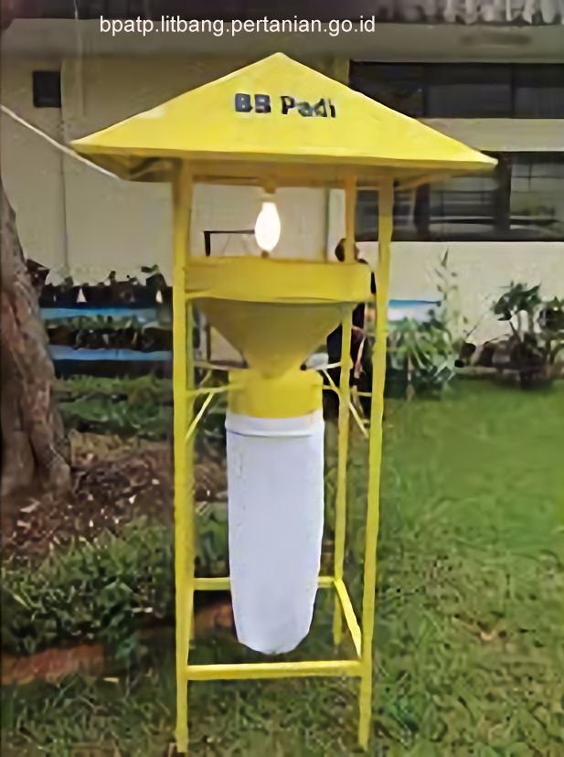 Lampu Perangkap Serangga: Teknologi Sederhana untuk Deteksi Dini Hama di Sawah