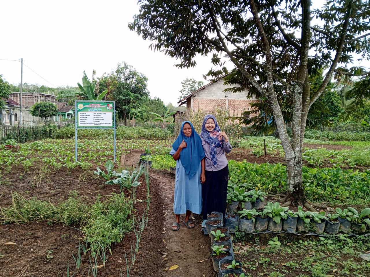 PEMANFAATAN LAHAN PEKARANGAN MENJADI SUMBER GIZI DAN PUNDI RUPIAH (KWT MEKAR LESTARI DESA RATU ABUNG)