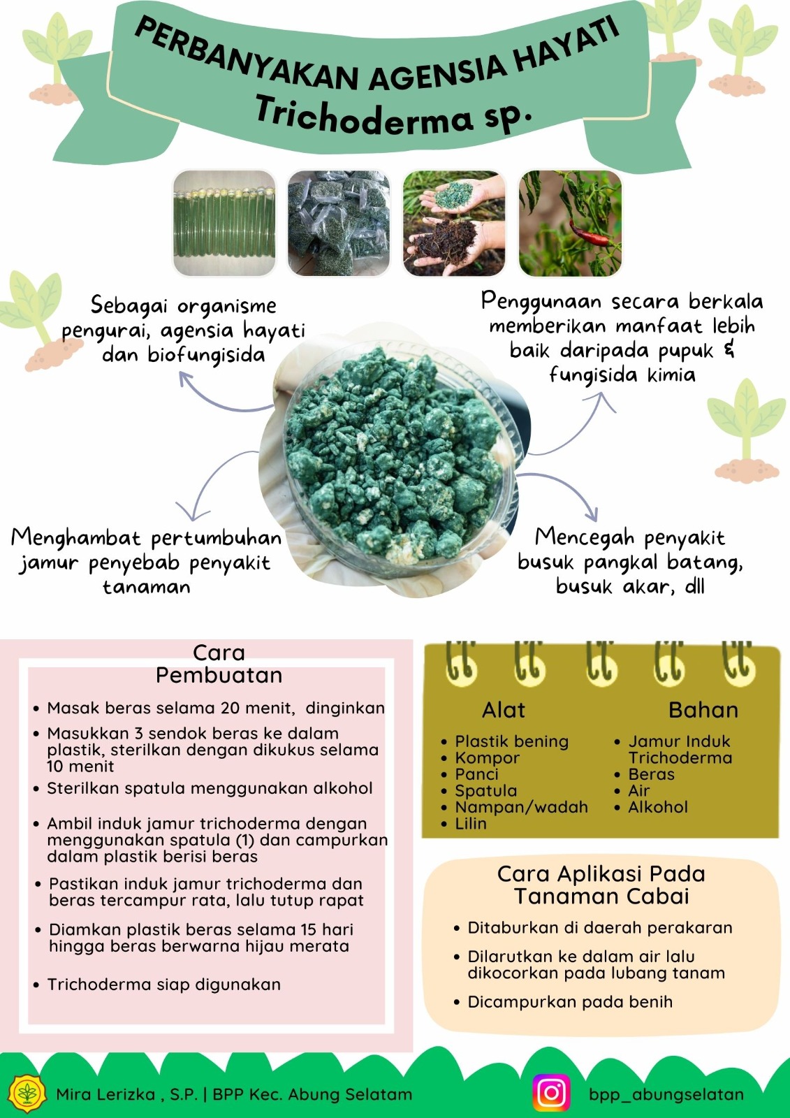 PERBANYAKAN TRICHODERMA sp SEBAGAI AGENSIA HAYATI PENGENDALI ORGANISME PENGGANGGU TANAMAN