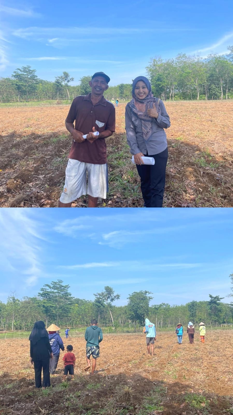 MENANAM JAGUNG DENGAN BENIH UNGGUL UNTUK MERAIH PANEN YANG PERKASA DI POKTAN BINA KARYA