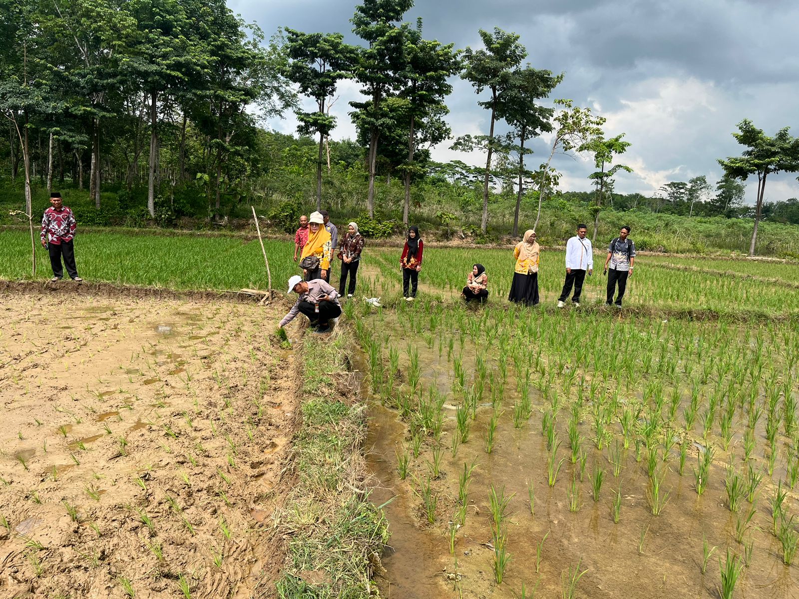 Kunjungan Kerja Lapangan Tim dari Balai Penerapan Modernisasi Pertanian (BRMP) Lampung 