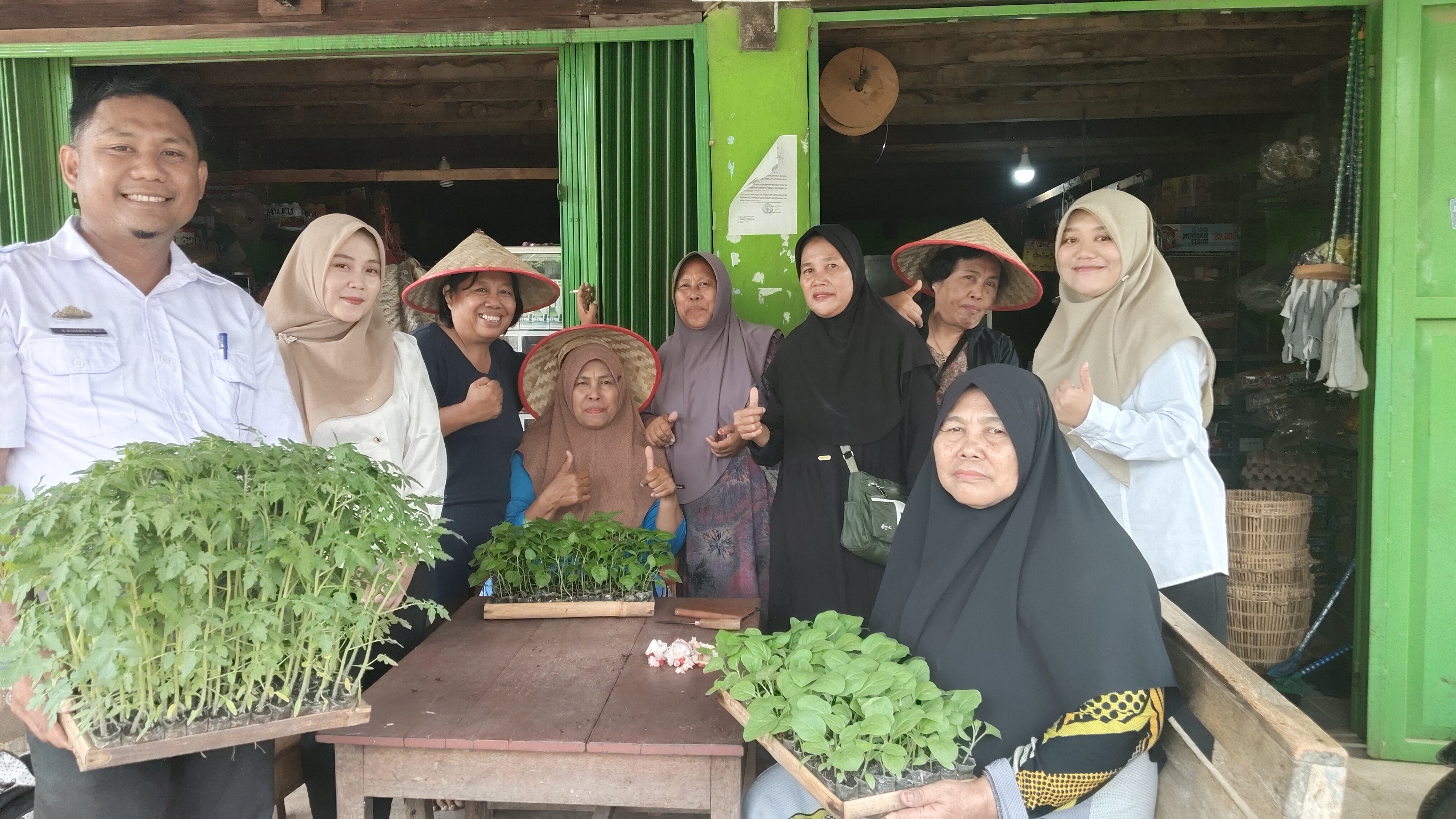 Pemanfaatan Lahan Pekarangan untuk Budidaya Sayuran 