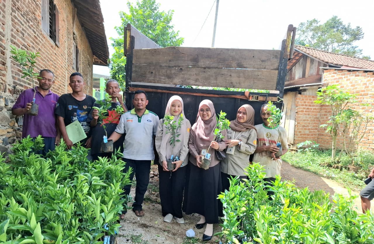 MENINGKATKAN KESEJAHTERAAN PETANI, DINAS TANAMAN PANGAN DAN HORIKULTURA LAMPUNG UTARA GELONTORKAN BIBIT JERUK UNGGUL