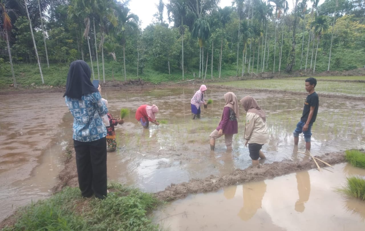 PERTANIAN PRESISI “Inovasi Cerdas Menuju Efisiensi dan Produktivitas”