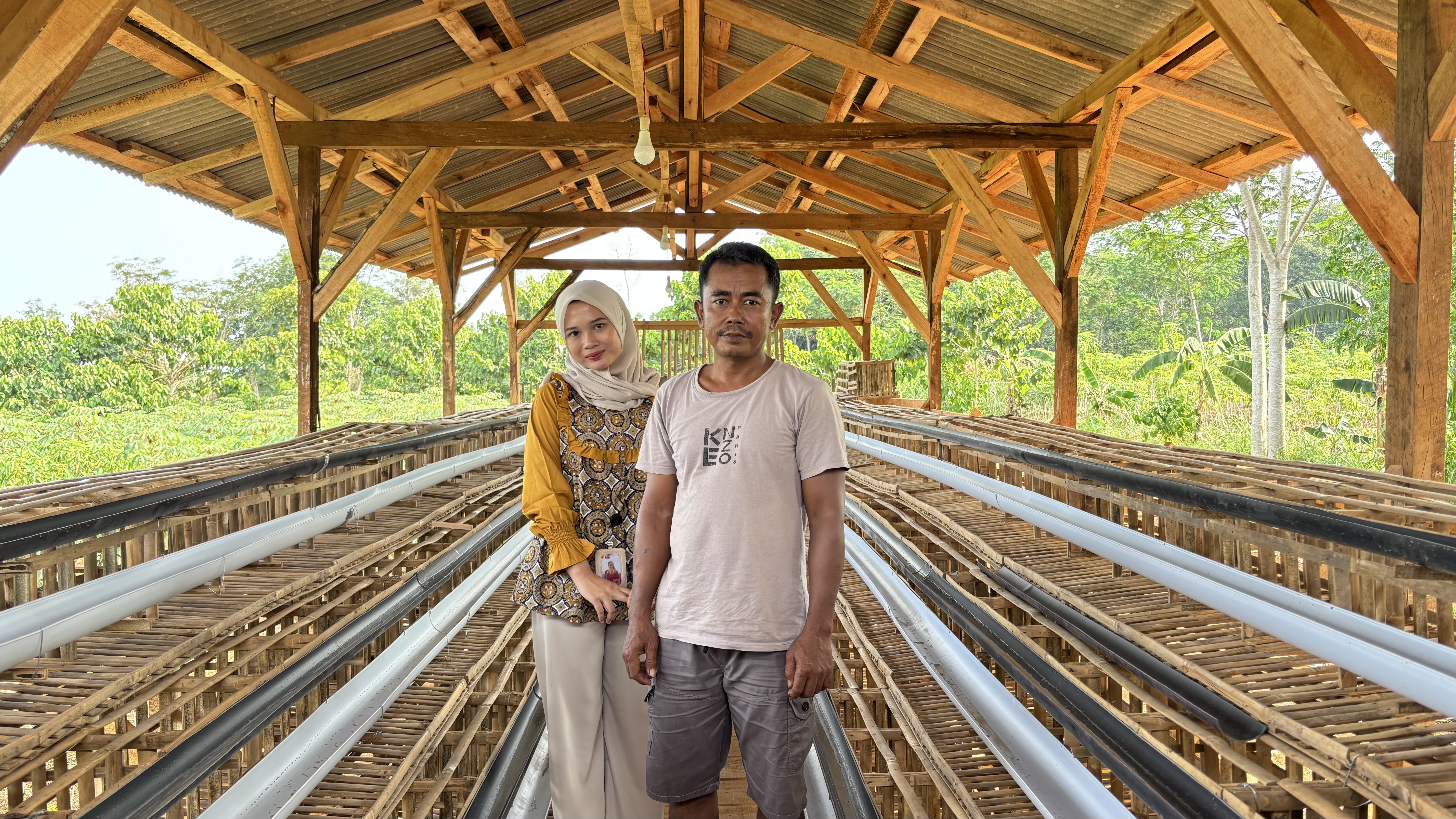 Memperkuat Ekonomi Lokal: Beberapa desa di Sungkai Selatan Rintis Usaha Ayam Petelur untuk BUMDes