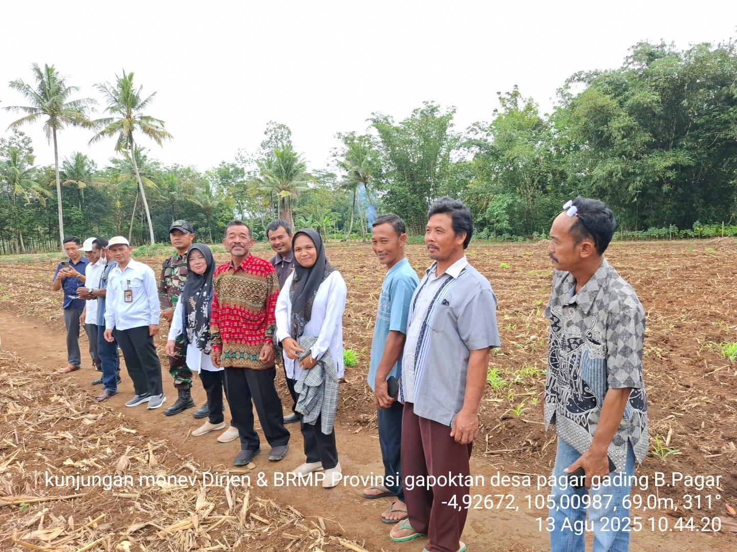 LUAS TAMBAH TANAM PADI GOGO KECAMATAN BLAMBANGAN PAGAR BERSAMA BRMP PROVINSI LAMPUNG