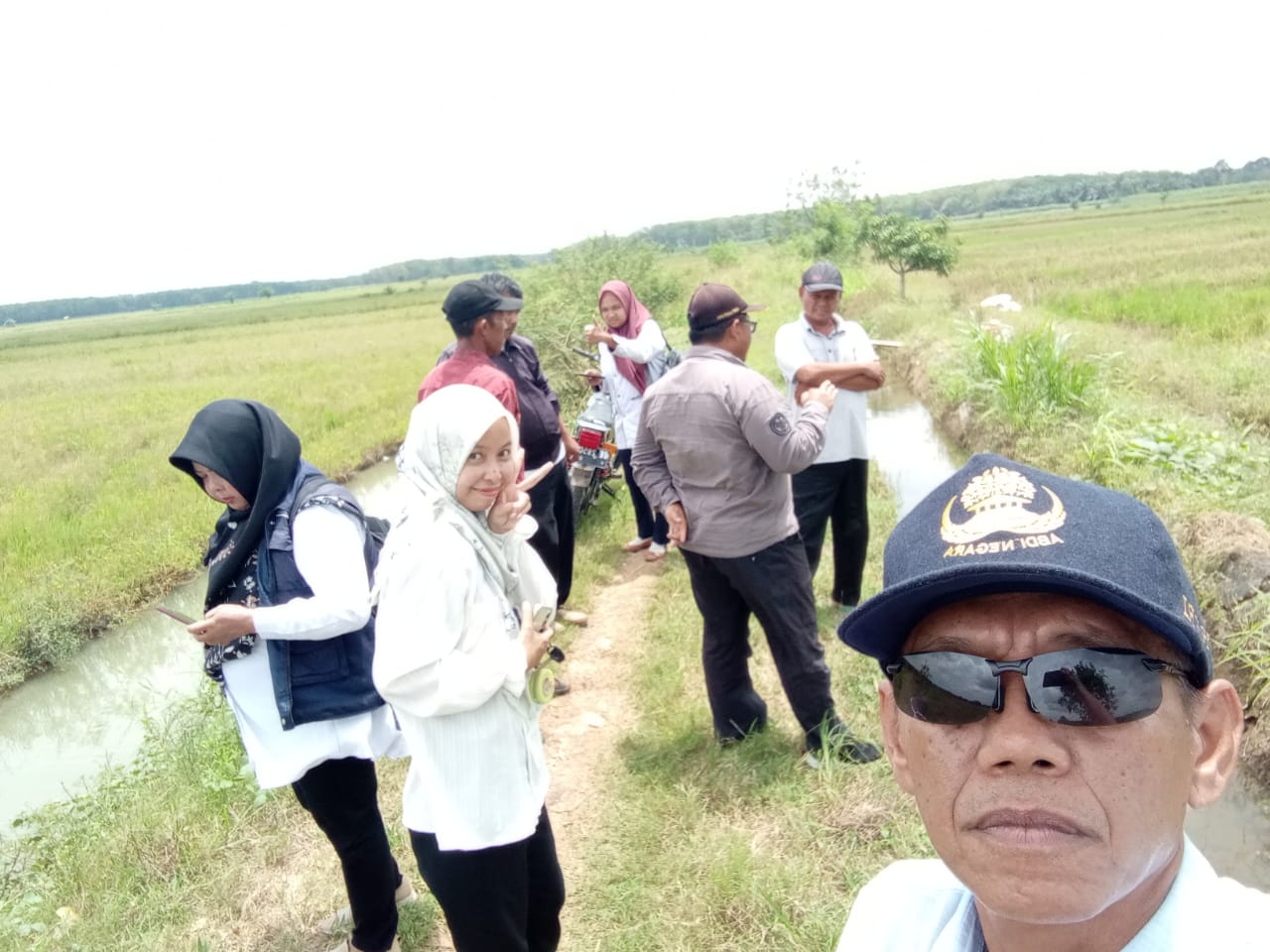 PENGENDALIAN HAMA DAN PENYAKIT PADA TANAMAN PADI DI KECAMATAN BLAMBANGAN PAGAR