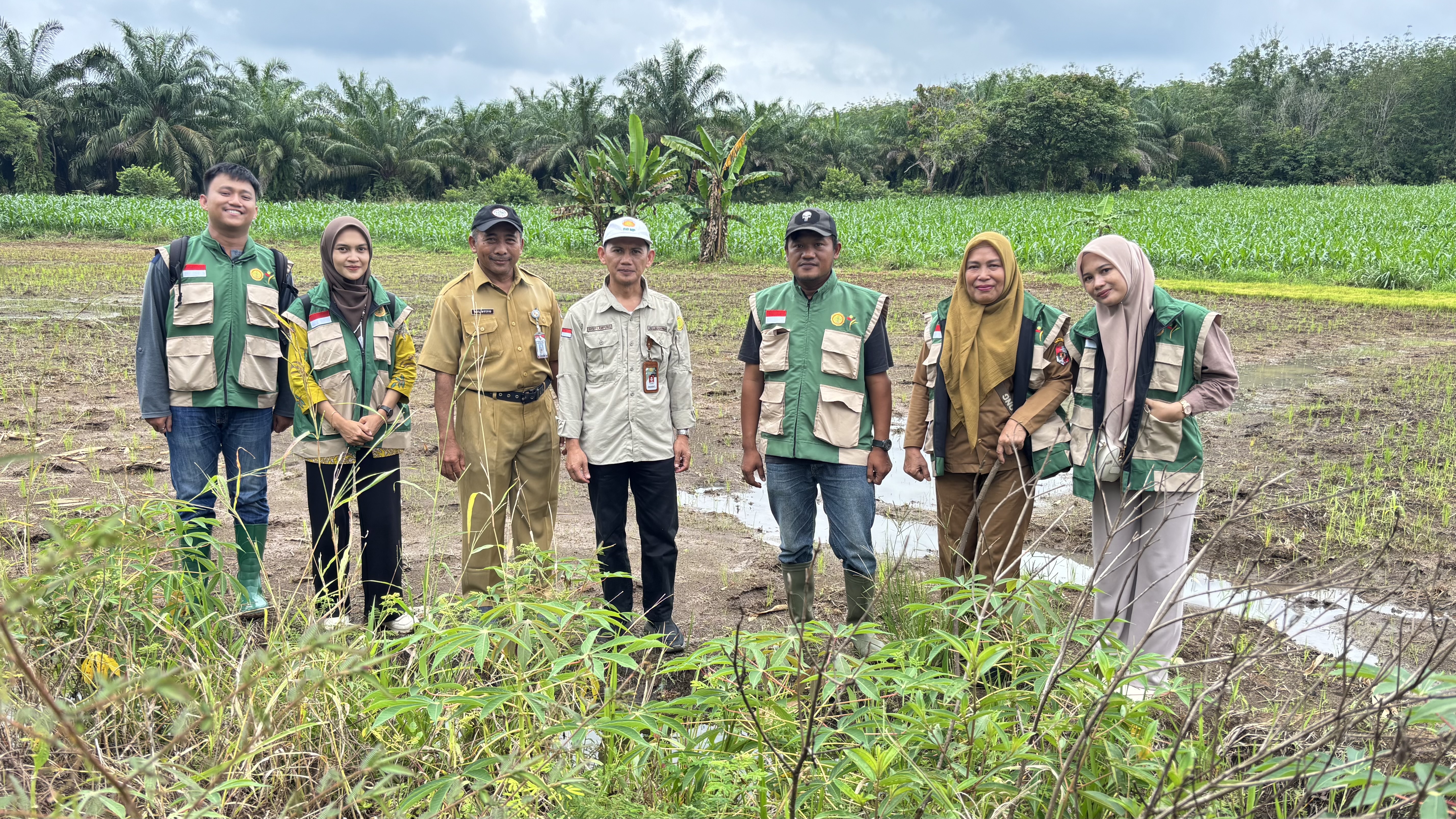 BrMP Lampung Evaluasi LTT Padi di BPP Sungkai Selatan
