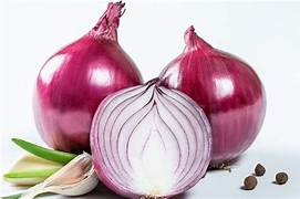 REVOLUSI BAWANG MERAH : HEMAT BIAYA DENGAN TSS (TRUE SHALLOT SEED)