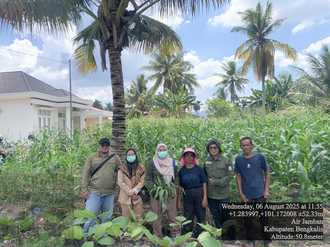 Kegiatan Pemantauan Daerah Sebar OPTK di Kecamatan Mandau