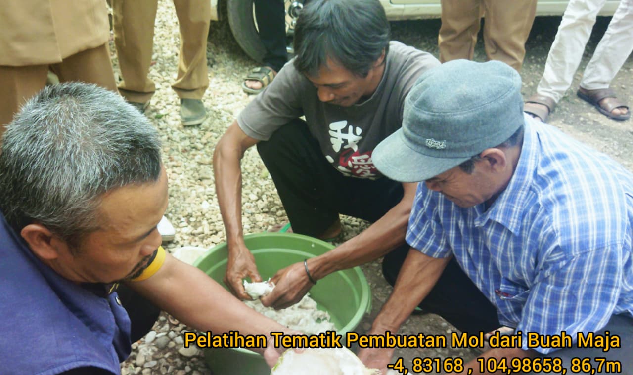 Pelatihan Pembuatan MOL Buah Maja dan Tepung Beras sebagai Solusi Pengendalian Penyakit Ustilago pada Tanaman Padi