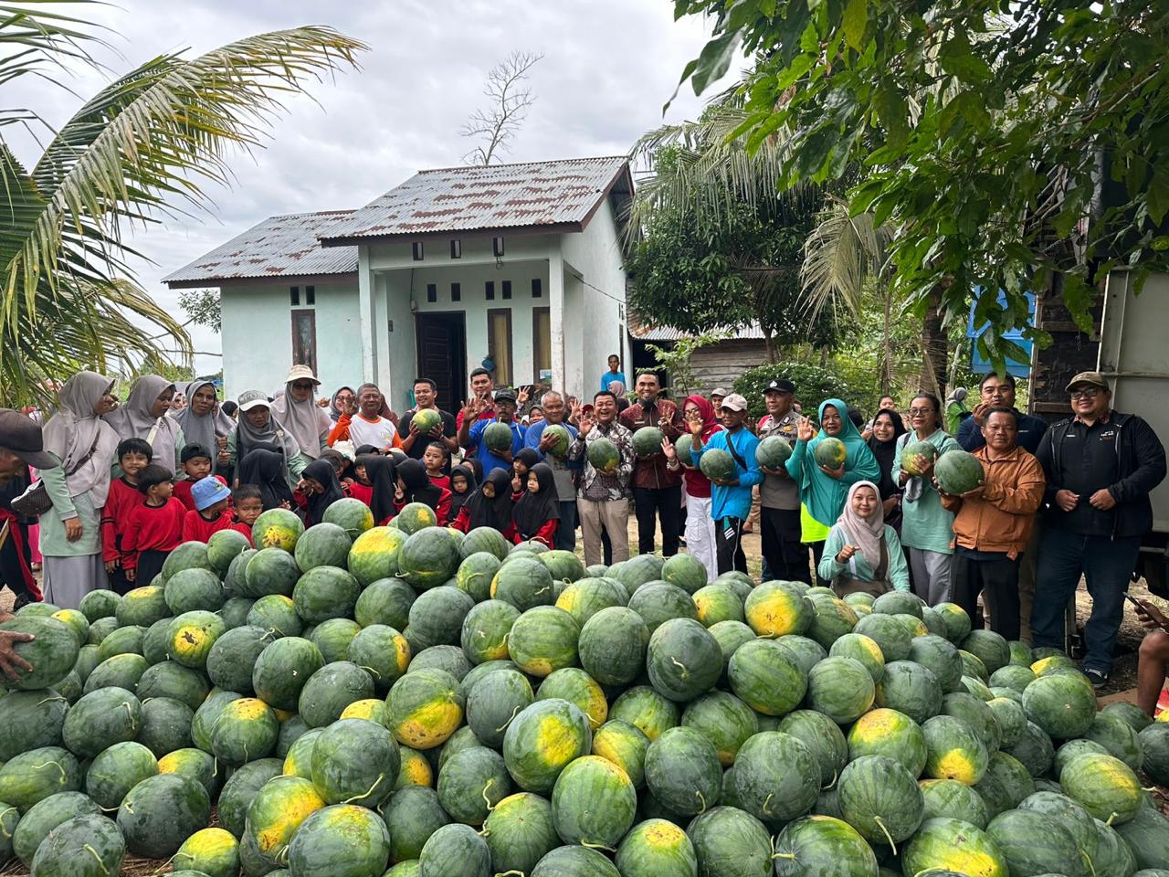 MEMETIK MANISNYA HASIL PANEN SEMANGKA  