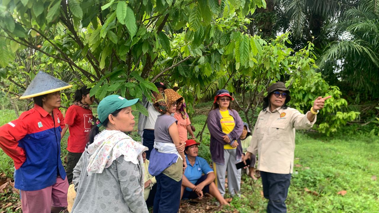 MENYAMBUT BANTUAN SPRINKLER, KELOMPOK TANI SEMANGAT SIAPKAN LAHAN