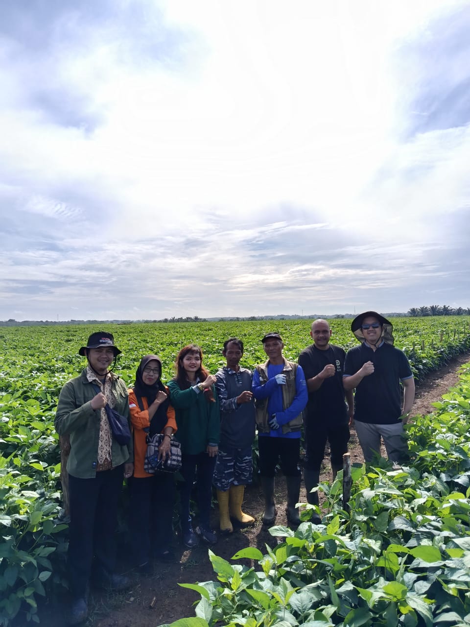 PENYAKIT KARAT PADA TANAMAN KEDELAI