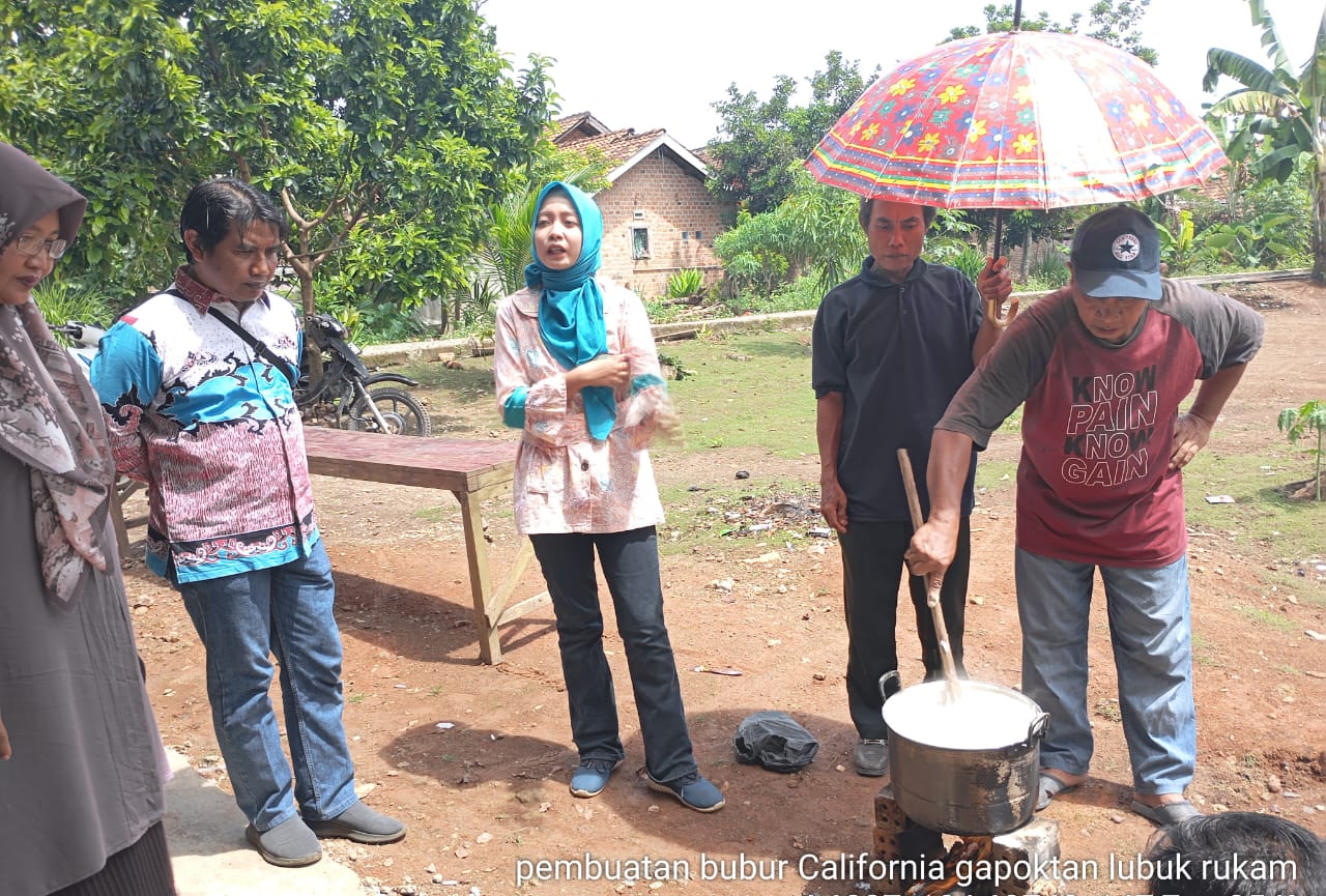 Petani Desa Lubuk Rukam Gelar Demonstrasi Pembuatan Bubur California untuk Pengendalian Hama dan Penyakit Jagung