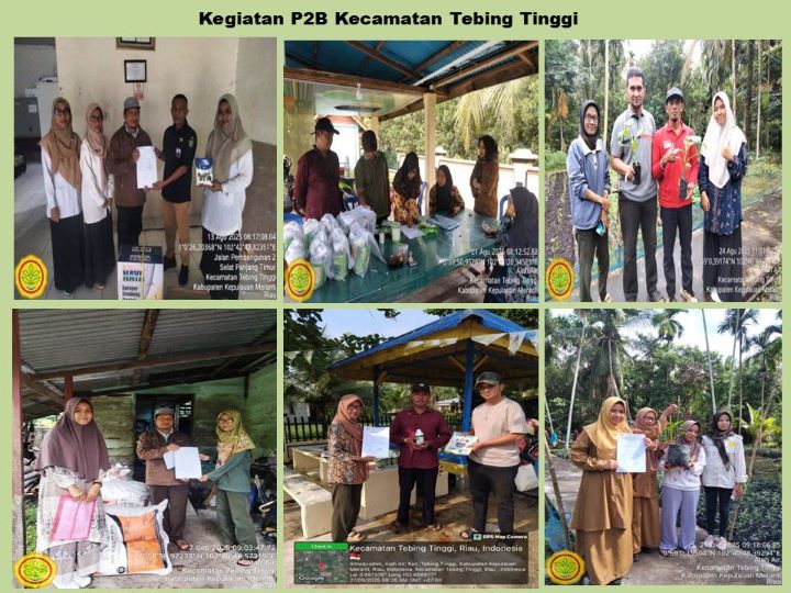 Kegiatan Pekarangan Pangan Bergizi (P2B) di Kecamatan Tebing Tinggi