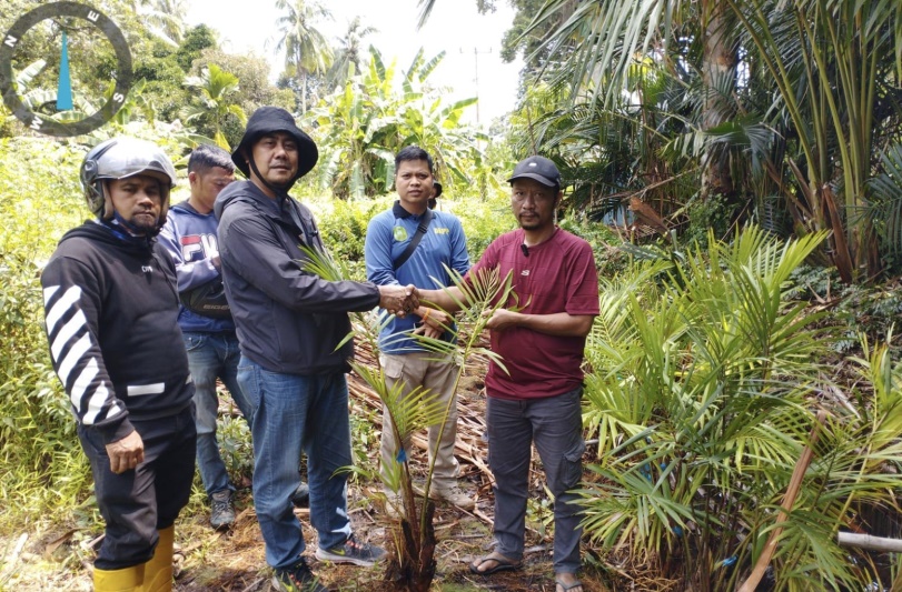 AKSELERASI PERTANIAN SAGU: DUA KELOMPOK TANI DI PULAU MERBAU TERIMA BANTUAN BIBIT SAGU 