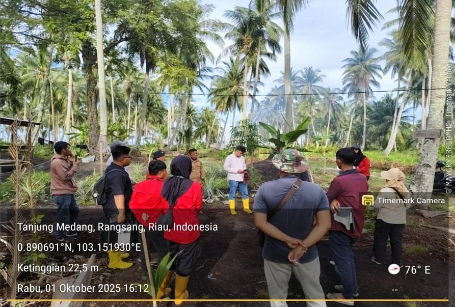 Penilaian calon Kebun Penghasil Tinggi (BPT) dan Pohon Induk Terpilih (PIT) Kelapa Dalam di Desa Tanjungmedang