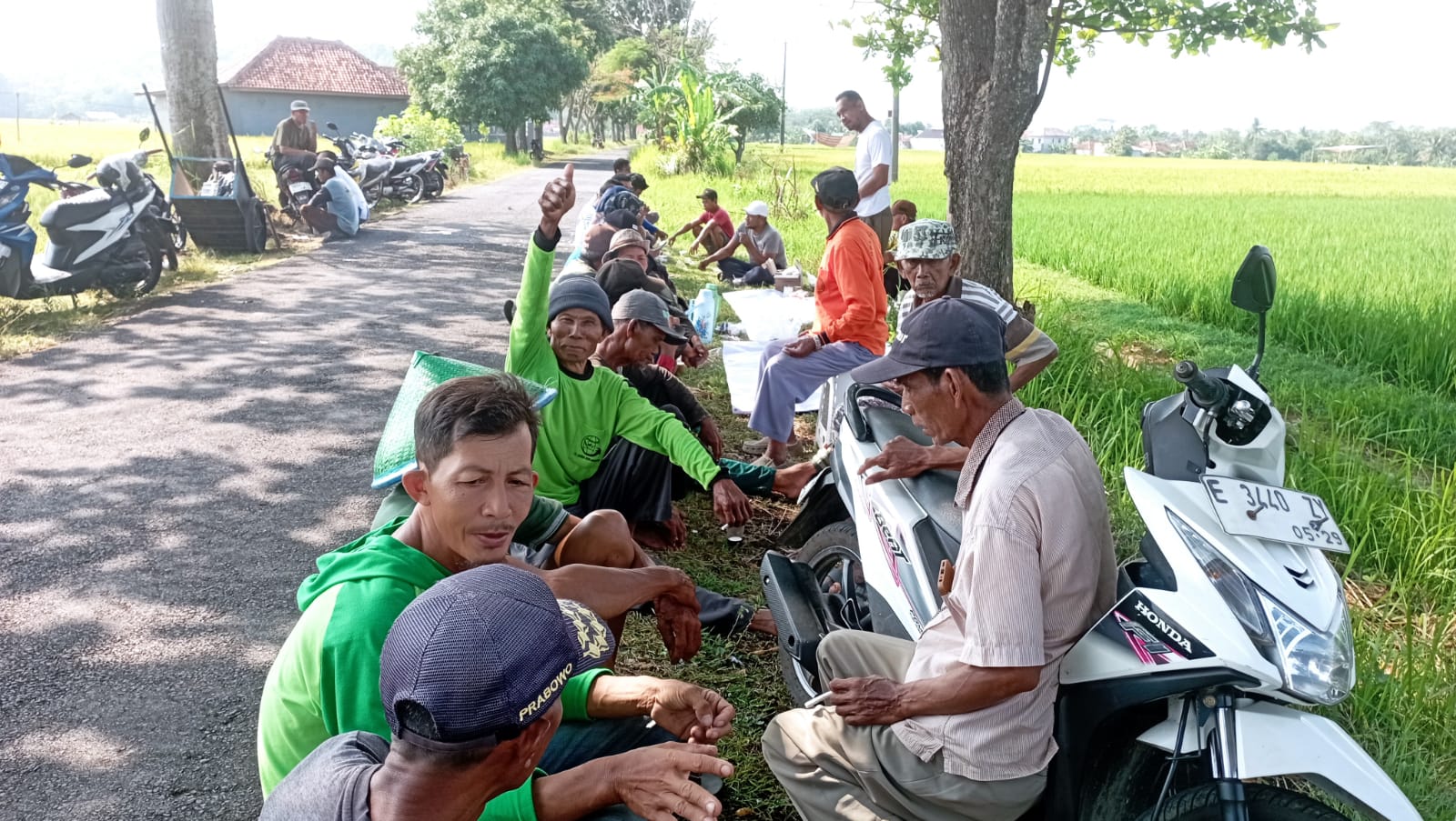 KANDUNGAN UNSUR HARA PADA PUPUK DAN MANFAATNYA BAGI TANAMAN