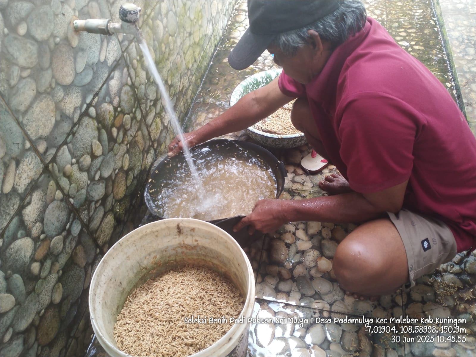 PENGGUNAAN VUB DAN BENIH BERMUTU