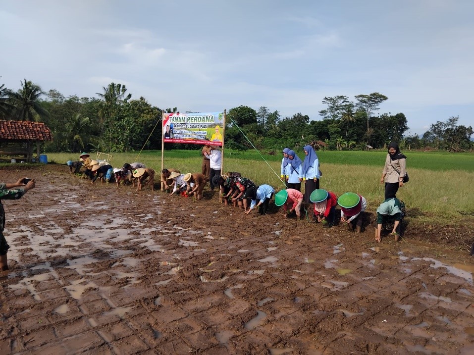 OPLAH …. PETANI SEJAHTERA