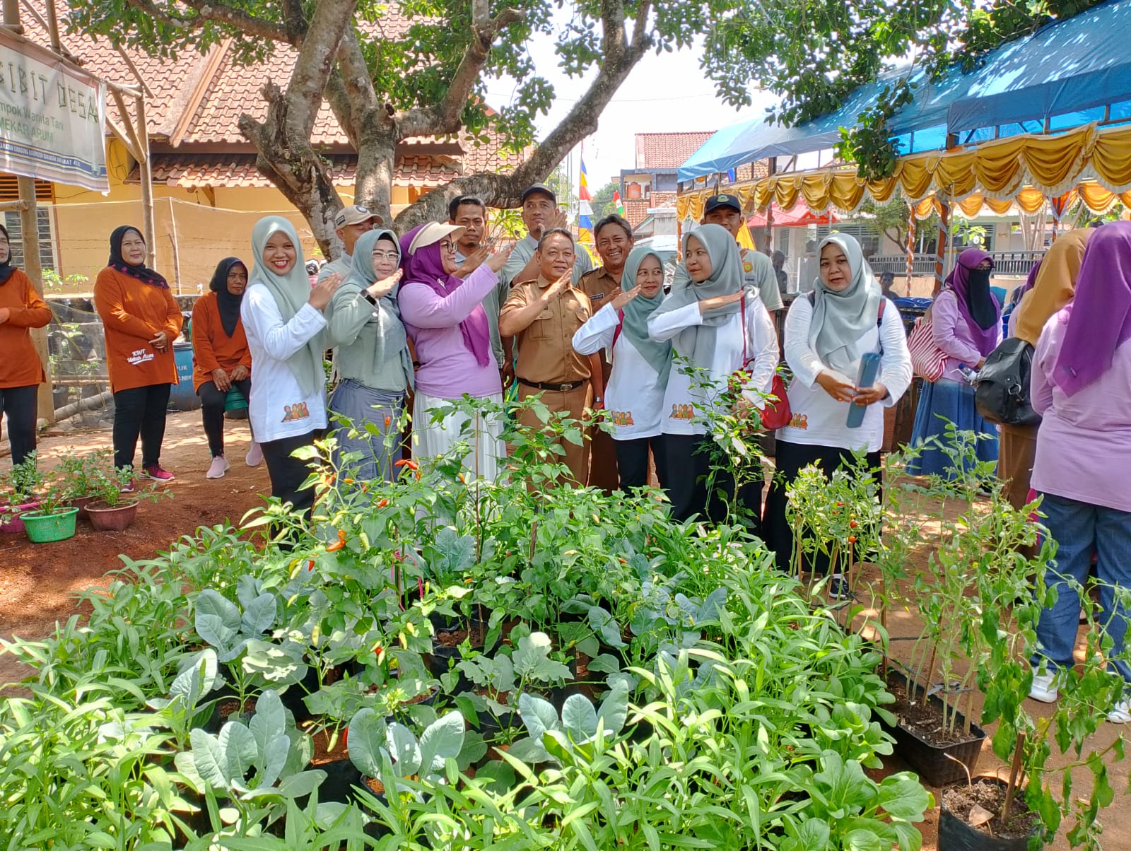 PEMANFAATAN LAHAN PEKARANGAN