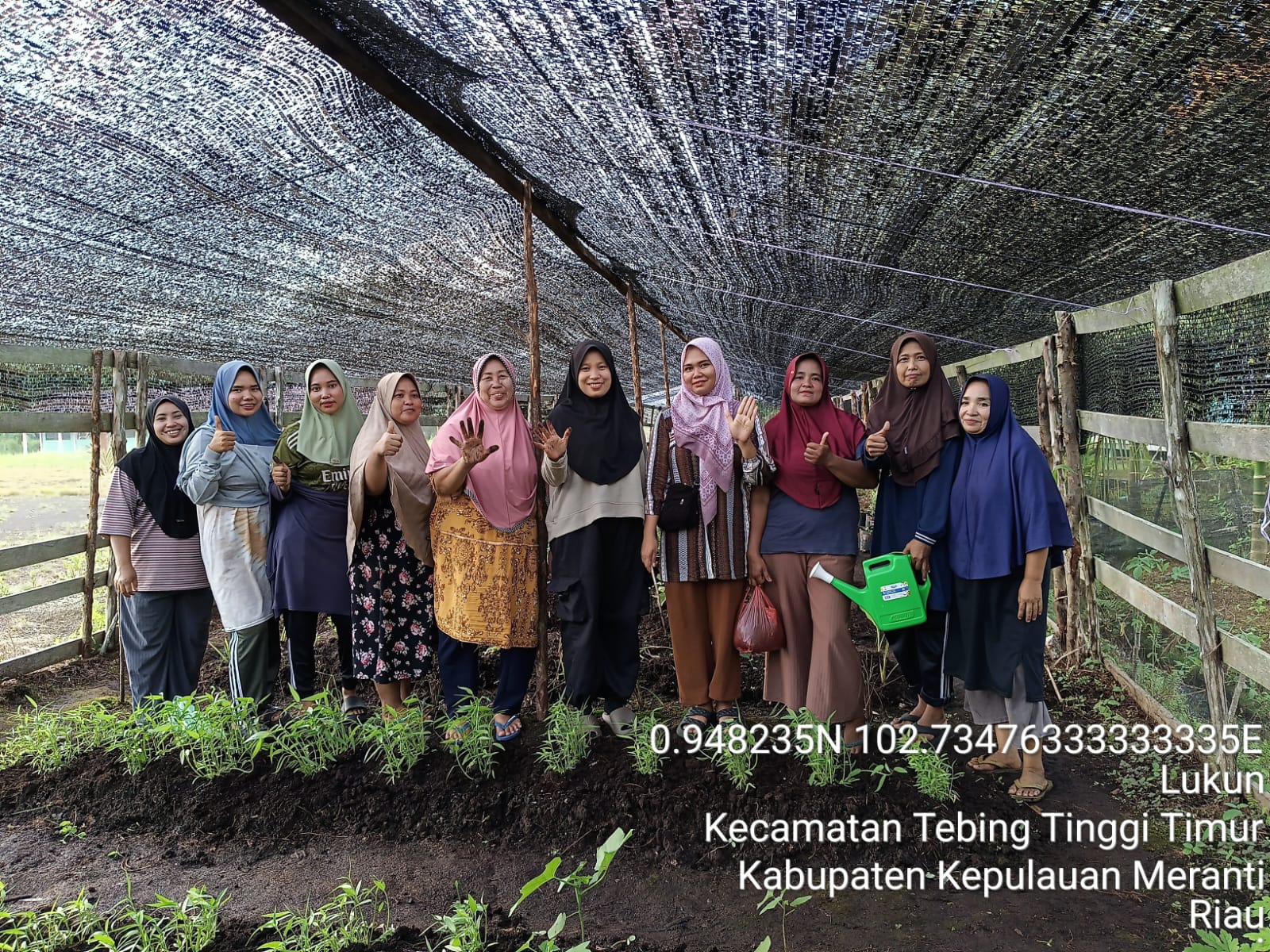 POTENSI LAHAN TIDUR SEBAGAI KEBUN DASAWISMA