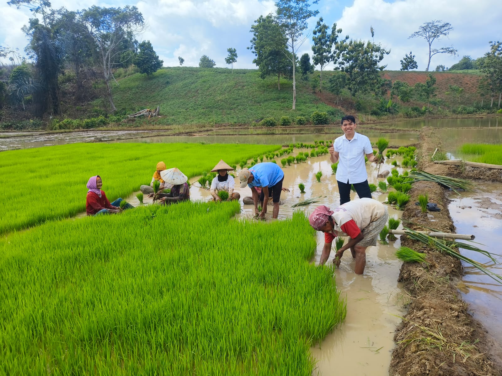 KUALITAS BENIH PONDASI KEBERHASILAN PERTANIAN