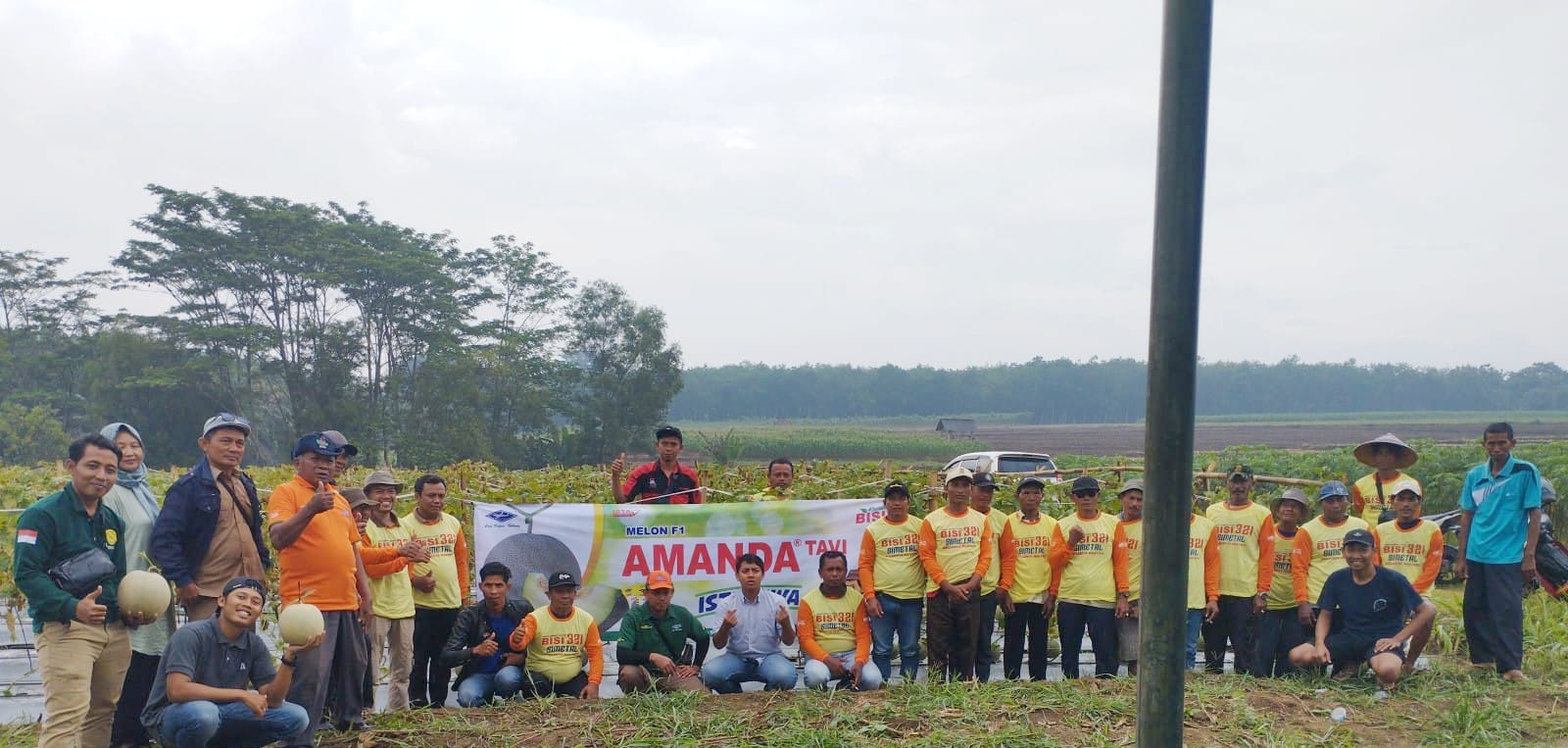 PENYULUH PERTANIAN DAMPINGI PETANI MUDA SUKSES TANAM MELON PERDANA DI ABUNG SURAKARTA