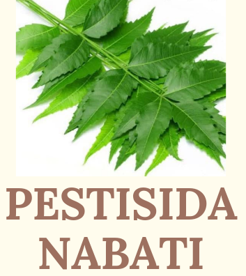 Pestisida Nabati Kembali Ke Alam