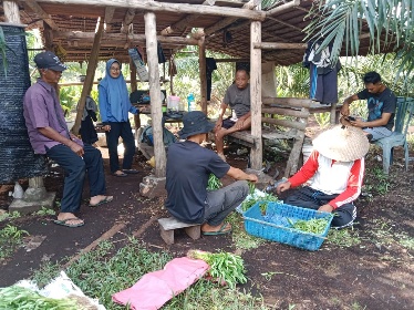 Pemanfaatan Lahan di Sela-Sela Tanaman Sawit