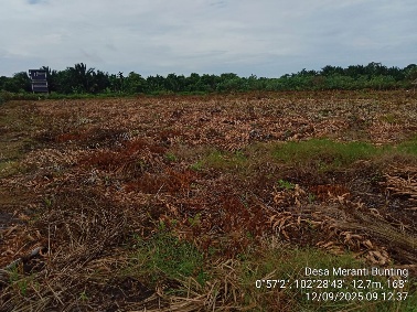 Pembukaan dan Pembersihan Lahan untuk Pertanian 
