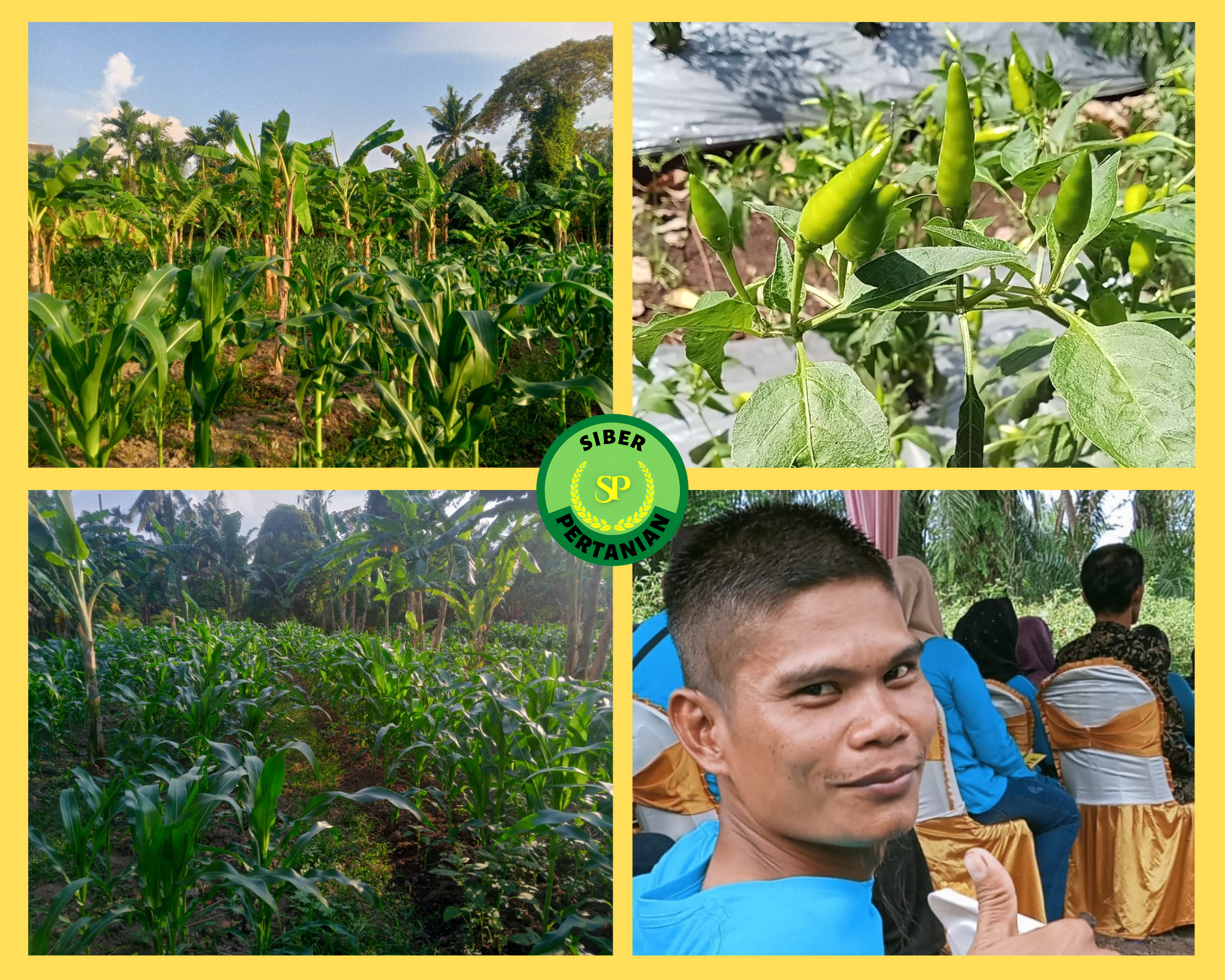 Poktan Moril Suka Tani Dulu Baru Hitung Keuntungan