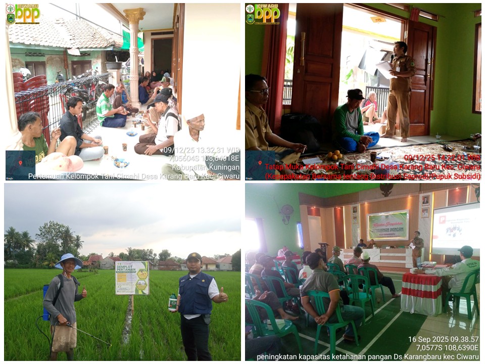 PENYUSUNAN RDKK, SOSIALISASI HET PUPUK BERSUBSIDI DAN APLIKASI PEMUPUKAN BERIMBANG 