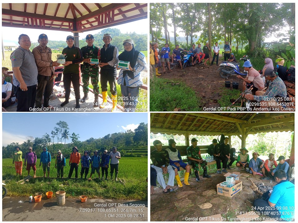 GERAKAN PENGENDALIAN OPT (PENGENDALIAN HAMA TIKUS dan PENGGEREK BATANG)