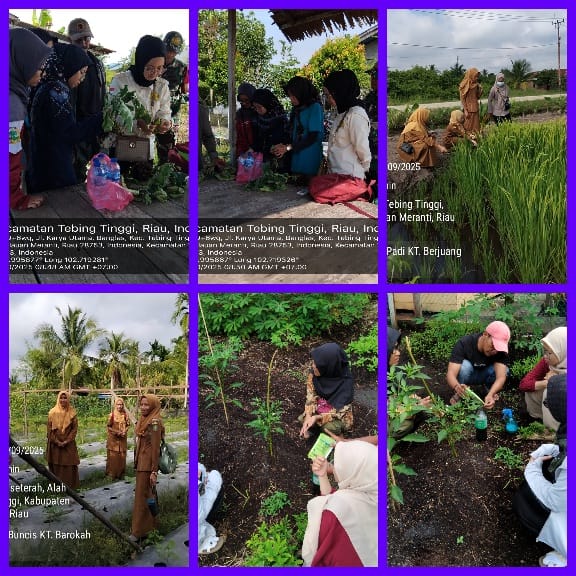 Kegiatan Pengendalian Hama dan Penyakit di Kecamatan Tebing Tinggi