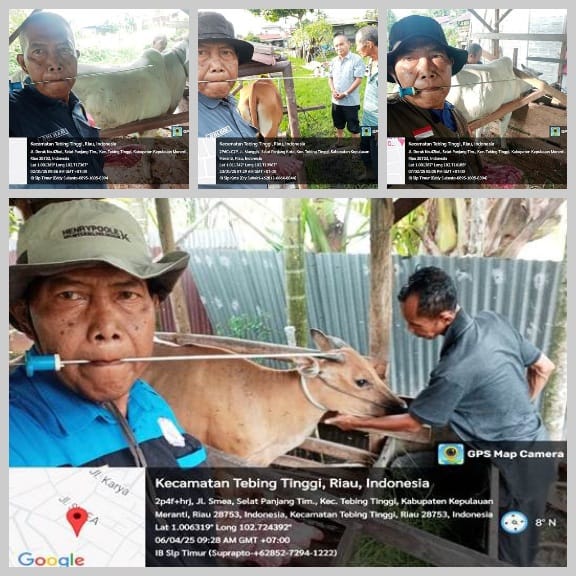 Program Inseminasi Buatan di Kecamatan Tebing Tinggi