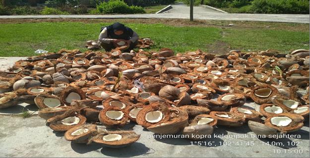Pengolahan Kelapa Copra