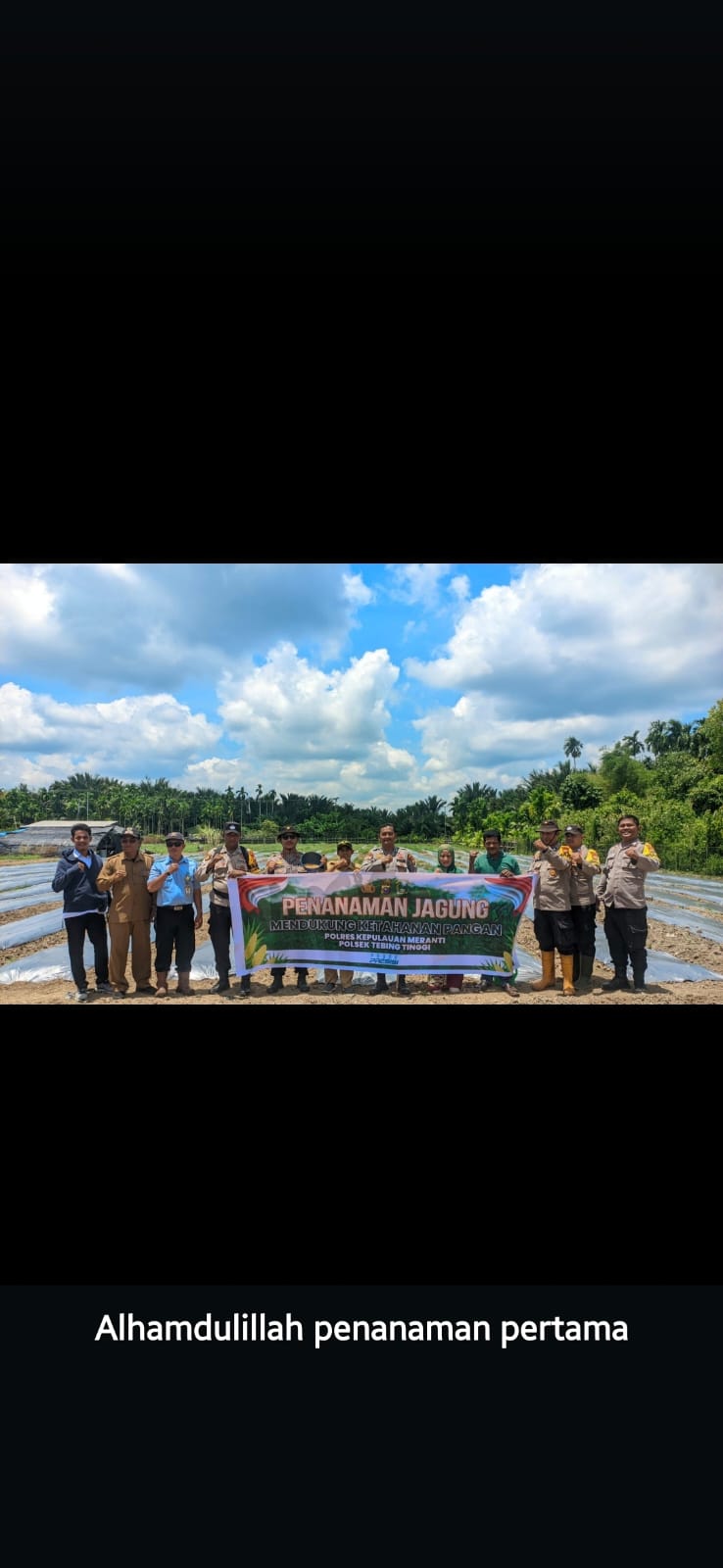 Langkah Serentak Penanaman Jagung Desa Sungai Tohor Mendukung Ketahanan Pangan