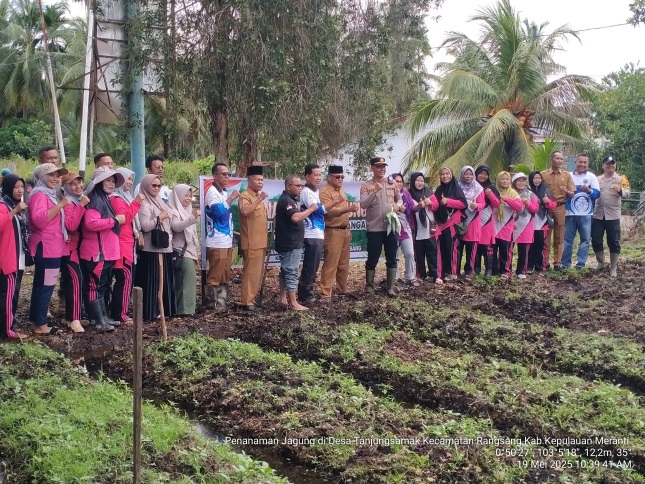 Penanaman Jagung Pipil Tingkatkan Ketahanan Pangan Desa Tanjungsamak