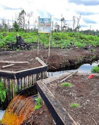 Pengelolaan Air Pada Lahan Gambut Untuk Pertanian Berkelanjutan