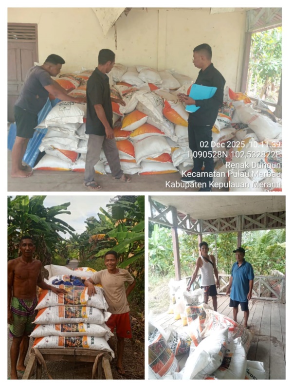 Perkuat Budidaya Sagu, Kementan Ri Salurkan Bantuan 7,5 Ton Pupuk Organik Ke Poktan Sagu Jaya