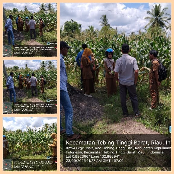 Kegiatan Pengendalian Hama dan Penyakit Tanaman di Kecamatan Tebing Tinggi Barat